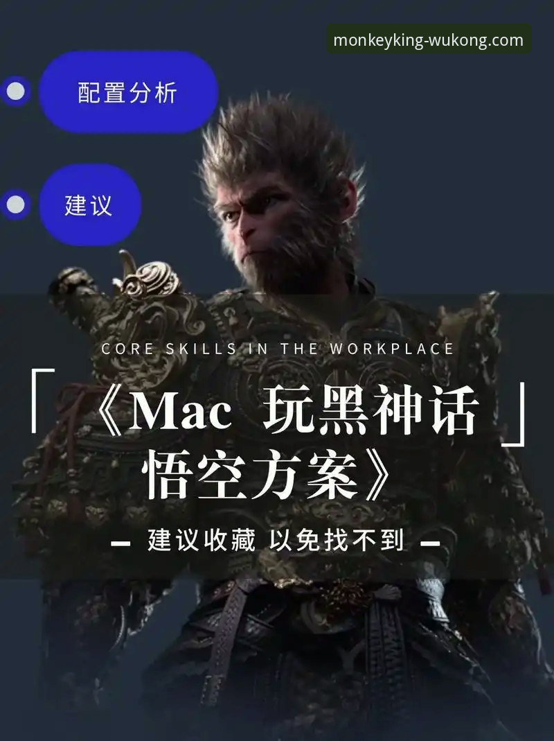 如何精准定位并高效使用悟空体育直播入口？