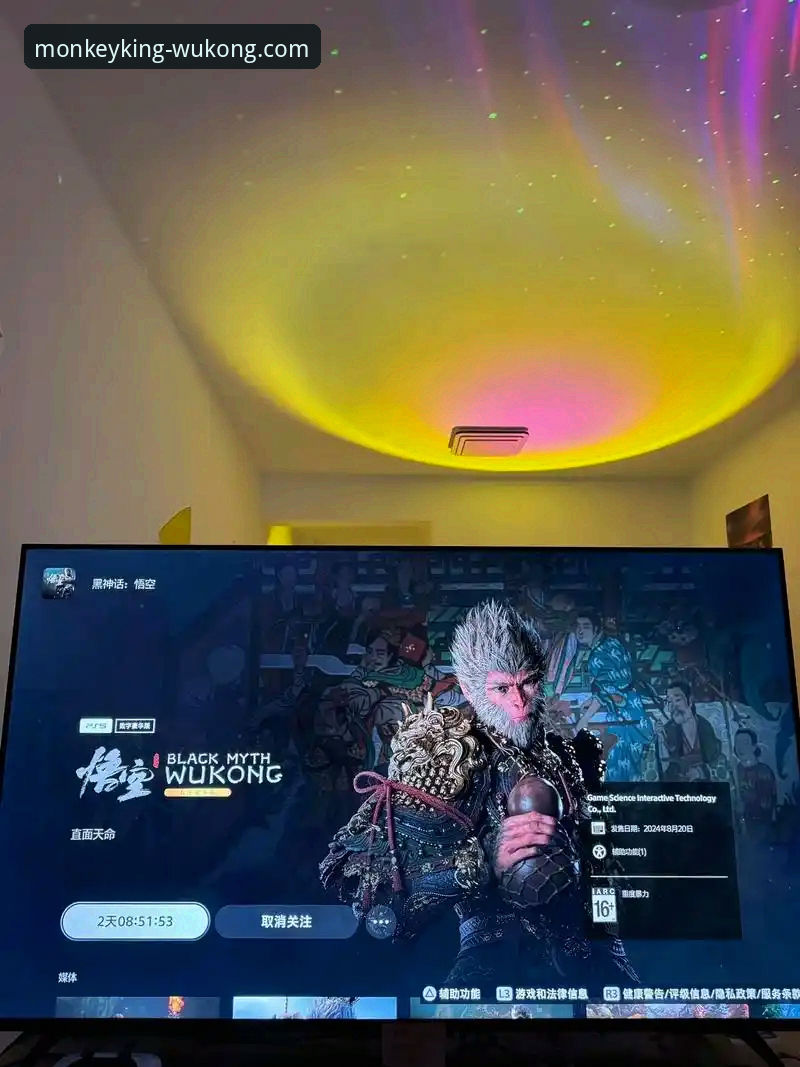 悟空体育直播平台体验与地址详解