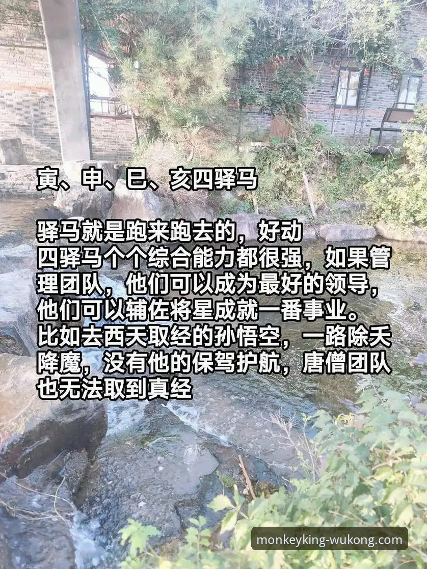 资深用户分享：悟空体育观看地址的深度使用心得与创新观赛方案